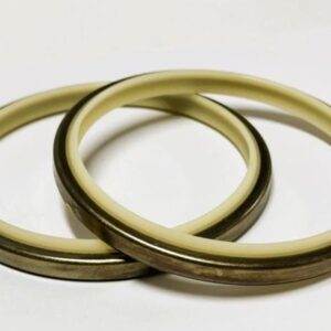 Wiper Seals