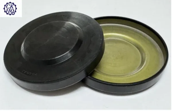 End Cap Seal - CK Sealing Corporation