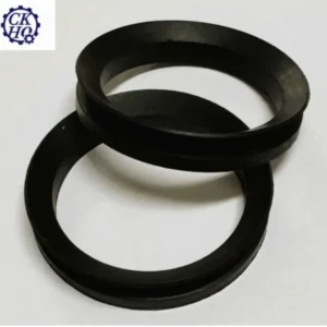 V-Ring Seal (V-seal)
